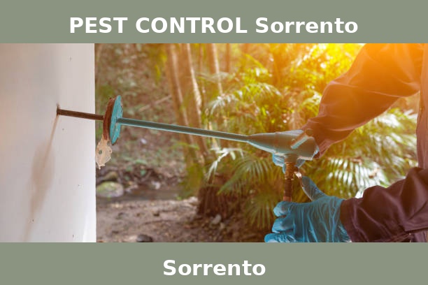 PEST CONTROL Sorrento